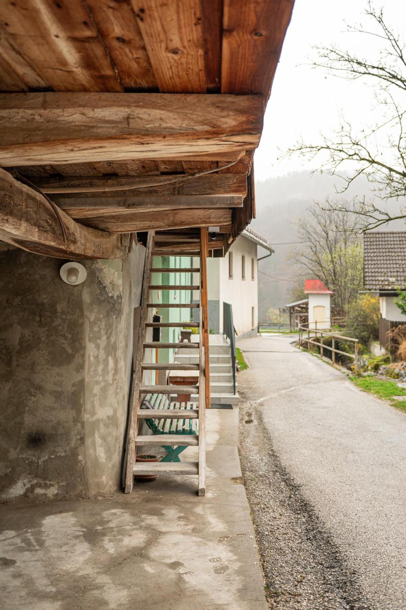 Zelena Hisa Pri Bjov Bohinjska Bela Exterior foto