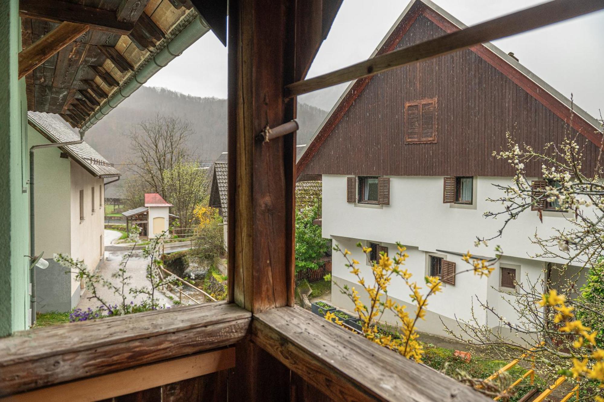 Zelena Hisa Pri Bjov Bohinjska Bela Exterior foto